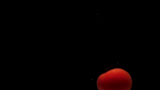 One Red Tomato Falling Transparent Water Black Background Fresh Organic — Stock Video