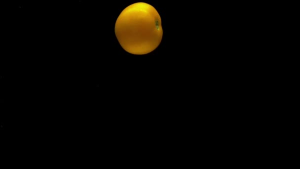 Une Tomate Jaune Trouve Sous Eau Transparente Sur Fond Noir — Video