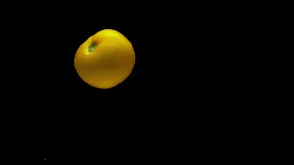 Pomodoro Giallo Sta Cadendo Acqua Trasparente Fondo Nero Verdure Biologiche — Video Stock