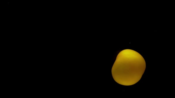 Sarı Domateslerden Biri Siyah Zemin Üzerinde Saydam Suya Düşüyor Akvaryuma — Stok video