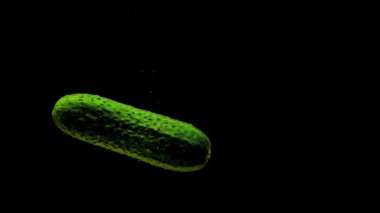 Yeşil salatalık siyah arkaplanda saydam suya düşüyor. Akvaryuma taze organik sebzeler sıçrıyor. Market, sağlıklı yiyecekler, diyet, vejetaryenlik, hava kabarcıkları. Ağır çekim. Yakın plan..