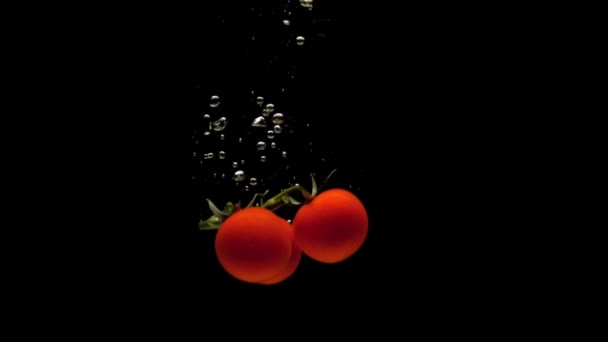 Třešňová Rajčatová Větev Padající Průzračné Vody Černém Pozadí Čerstvá Organická — Stock video