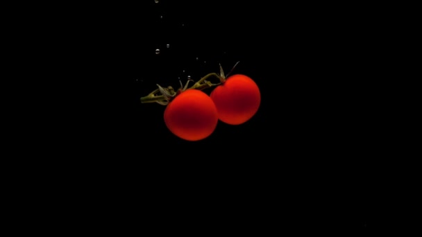 Cherry Tomato Branch Falling Transparent Water Black Background Fresh Organic — ストック動画