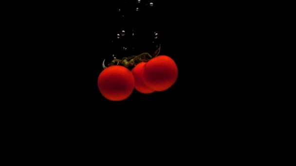 樱桃番茄枝落在透明的水中的黑色背景 新鲜的有机蔬菜在水族馆里飞溅 杂货店 健康食品 素食主义 慢动作 后续行动 — 图库视频影像