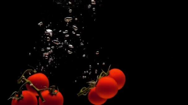 Two Branches Cherry Tomato Falling Transparent Water Black Background Fresh — Stock Video