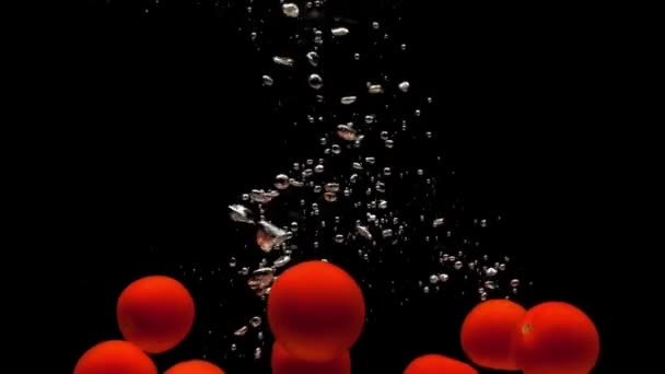Červená Cherry Rajčata Padající Průhledné Vody Černém Pozadí Čerstvá Organická — Stock video