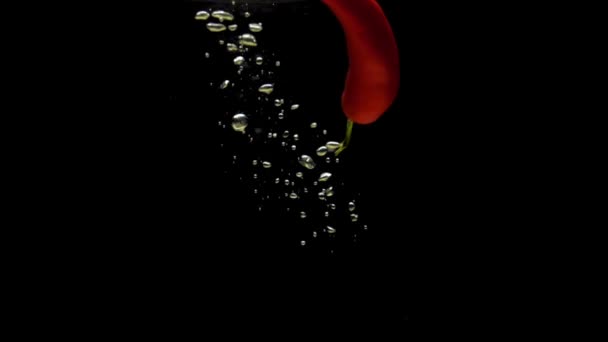 Jedno Czerwone Chili Wpadające Przezroczystej Wody Czarnym Tle Świeże Organiczne — Wideo stockowe