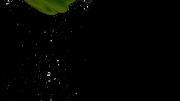 黒い背景に透明な水に落ちる1つの緑のパプリカ 新鮮な有機野菜が水族館で飛び散っています 食料品店 健康食品 菜食主義 スローモーション — ストック動画