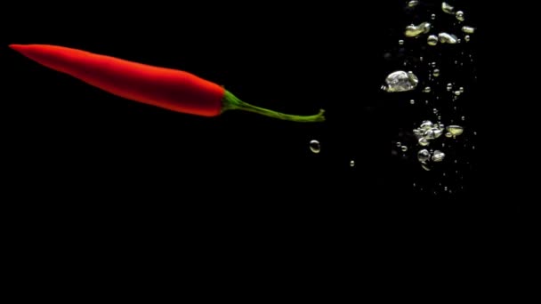 Röd Chili Faller Transparent Vatten Svart Bakgrund Färska Ekologiska Grönsaker — Stockvideo