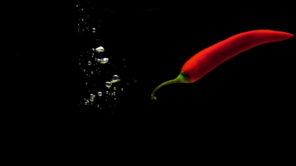 Ein Rotes Chili Das Transparentes Wasser Auf Schwarzem Hintergrund Fällt — Stockvideo