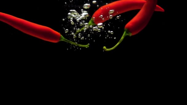 Czerwone Chili Wpadające Przezroczystej Wody Czarnym Tle Świeże Organiczne Warzywa — Wideo stockowe