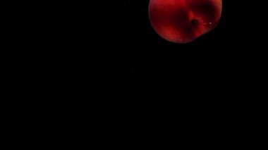 Olgun şeftali, siyah arka planda şeffaf suyun altında yatar. Akvaryuma taze organik meyveler sıçrıyor. Market, sağlıklı yiyecekler, diyet, vejetaryenlik, hava kabarcıkları. Ağır çekim. Yakın plan..