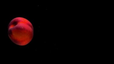 Olgun şeftali, siyah arka planda şeffaf suyun altında yatar. Akvaryuma taze organik meyveler sıçrıyor. Market, sağlıklı yiyecekler, diyet, vejetaryenlik, hava kabarcıkları. Ağır çekim. Yakın plan..