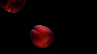 İki olgun şeftali, siyah arka planda şeffaf suyun altında yatar. Akvaryuma taze organik meyveler sıçrıyor. Market, sağlıklı yiyecekler, diyet, vejetaryenlik, hava kabarcıkları. Ağır çekim. Yakın plan..