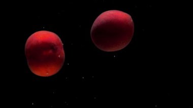 İki olgun şeftali, siyah arka planda şeffaf suya dökülüyor. Akvaryuma taze organik meyveler sıçrıyor. Market, sağlıklı yiyecekler, diyet, vejetaryenlik, hava kabarcıkları. Ağır çekim. Yakın plan..