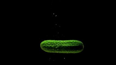 Yeşil salatalık siyah arkaplanda saydam suya düşüyor. Akvaryuma taze organik sebzeler sıçrıyor. Market, sağlıklı yiyecekler, diyet, vejetaryenlik, hava kabarcıkları. Ağır çekim. Yakın plan..