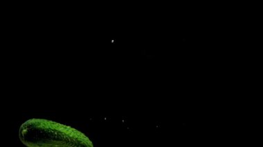 Yeşil salatalık siyah arkaplanda saydam suya düşüyor. Akvaryuma taze organik sebzeler sıçrıyor. Market, sağlıklı yiyecekler, diyet, vejetaryenlik, hava kabarcıkları. Ağır çekim. Yakın plan..