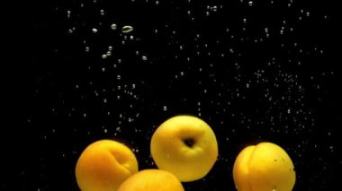 Olgun kayısılar siyah zemin üzerinde şeffaf suya düşüyorlar. Akvaryuma taze organik meyveler sıçrıyor. Market, sağlıklı yiyecekler, diyet, vejetaryenlik, hava kabarcıkları. Ağır çekim. Yakın plan..