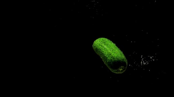 Groene Komkommer Valt Transparant Water Zwarte Achtergrond Verse Biologische Groenten — Stockvideo