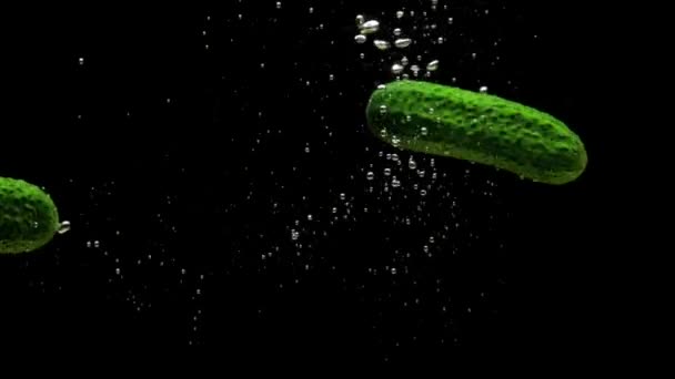 緑のキュウリ黒の背景に透明な水に落ちる 新鮮な有機野菜が水族館で飛び散っています 食料品店 健康食品 菜食主義 スローモーション — ストック動画