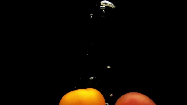 Rote Und Gelbe Tomaten Fallen Transparentes Wasser Auf Schwarzem Hintergrund — Stockvideo