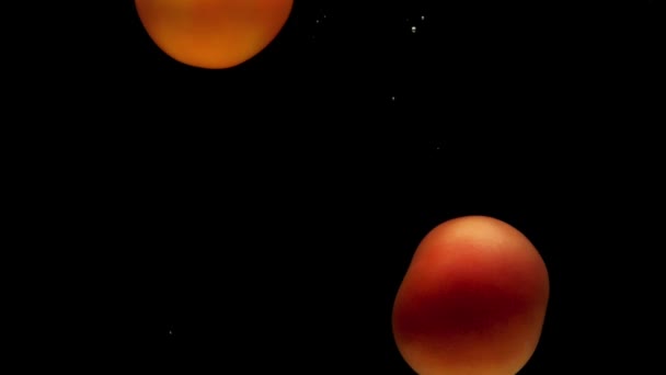 Rote Und Gelbe Tomaten Fallen Transparentes Wasser Auf Schwarzem Hintergrund — Stockvideo