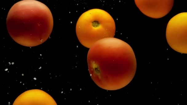 Gelbe Und Rote Tomaten Fallen Transparentes Wasser Auf Schwarzem Hintergrund — Stockvideo