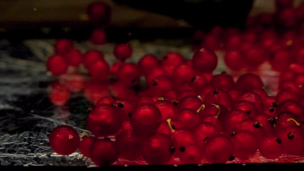 緑のスクープネットは 赤スグリをキャッチし 黒の背景に透明な水でそれを引き出します 水族館で新鮮な有機果実 食料品店健康食品菜食主義スローモーション — ストック動画
