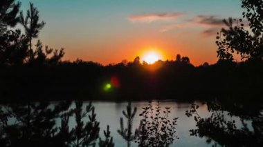 Gölün ve ormanın üzerinde günbatımının zaman aşımı. Ağaçlar mavi ve güneşe karşı altın gökyüzü. Bulutlar hızla hareket ediyor. Batan güneşe karşı siluetli ladin. Doğal arka plan. Günbegün. 4k görüntü.