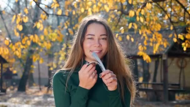 Jonge Aantrekkelijke Brunette Vrouw Tellen Een Pak Geld Genieten Een — Stockvideo