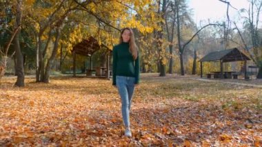 Genç çekici esmer kadın sonbaharda sarı ağaçların arka planında parkta yürüyor. Yeşil kazaklı güzel bir kız güneşli bir günde ormanın ortasında geziniyor. 4k görüntü.