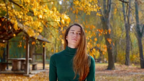 若い魅力的なブルネットの女性は秋に黄色い木の背景に公園を歩いています 晴れた日に森の真ん中を歩いている緑のセーターのかわいい女の子 4K映像 — ストック動画