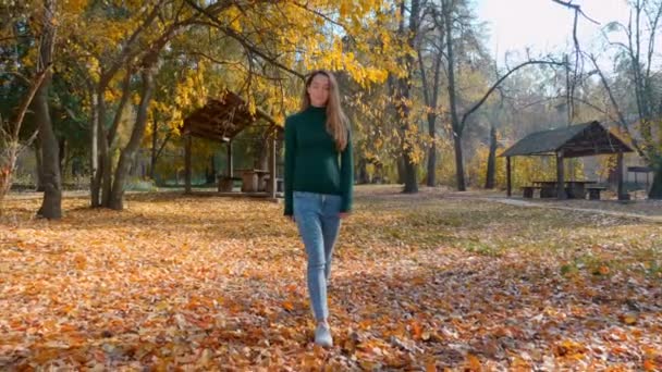 Mulher Morena Atraente Jovem Está Andando Parque Fundo Árvores Amareladas — Vídeo de Stock