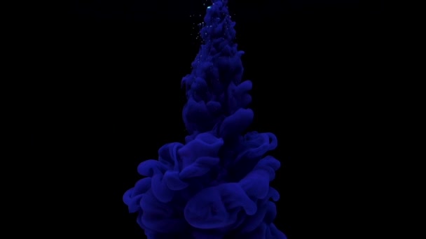 濃い青のインクが水に落ち、黒の背景に混合します。スローモーションの時間経過 — ストック動画