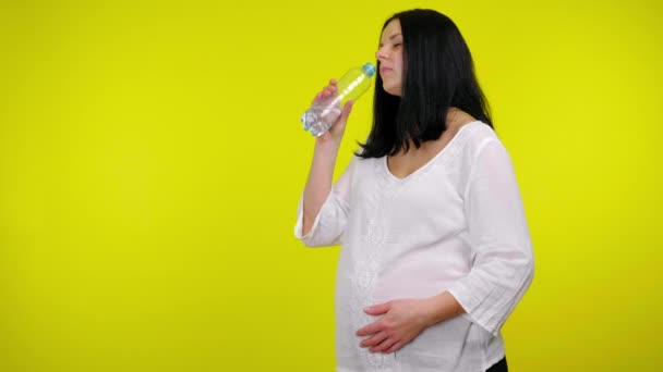 Schwangere trinkt Wasser in Plastikflasche, hält die Hand im Bauch — Stockvideo
