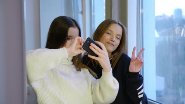 Twee meisjes fotograferen zichzelf in de spiegel op een smartphone, poseren en lachen — Stockvideo