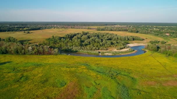 Vista aérea de un hermoso paisaje: árboles de campo de río bosque cielo azul naturaleza — Vídeos de Stock