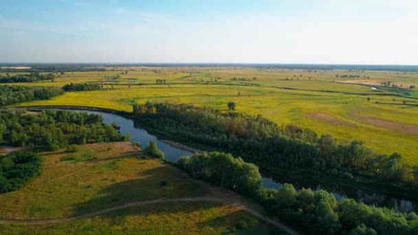 Letecký pohled na krásnou krajinu: pole řeka stromy les modrá obloha příroda — Stock video