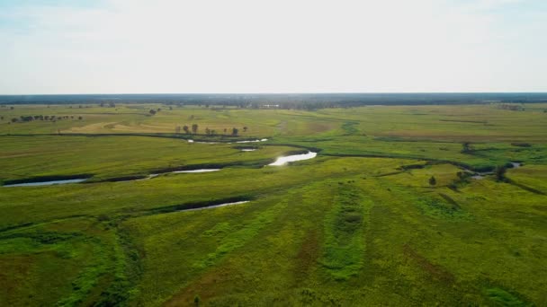 Uitzicht vanuit de lucht op een prachtig landschap: groen veld rivier zon bomen natuur — Stockvideo