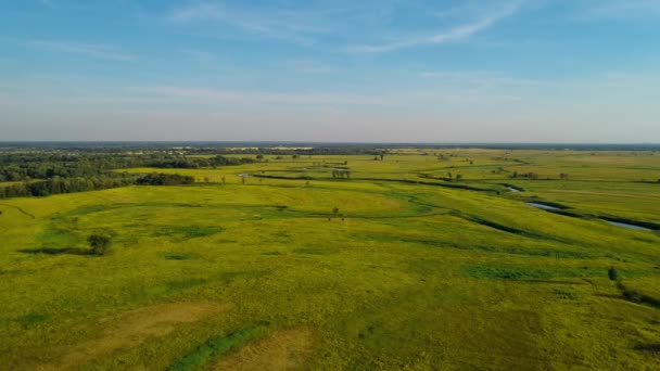 Uitzicht vanuit de lucht prachtig landschap: groen veld blauwe lucht rivierbomen bos natuur — Stockvideo