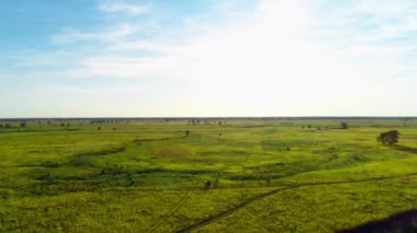 Güzel yeşil bir tarlanın havadan görünüşü, gün batımı ve nehir, doğa.