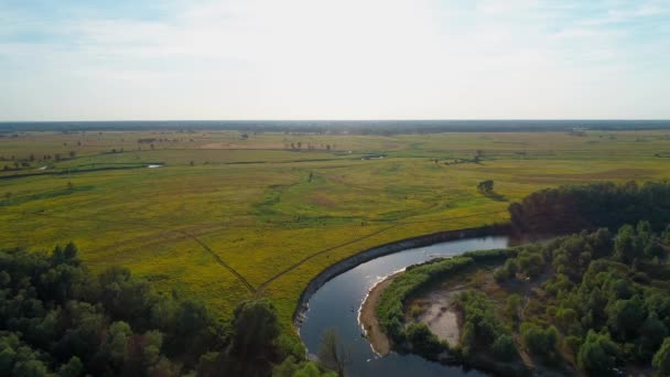 美しい風景の空中ビュー:フィールド川の木々の森の自然 — ストック動画