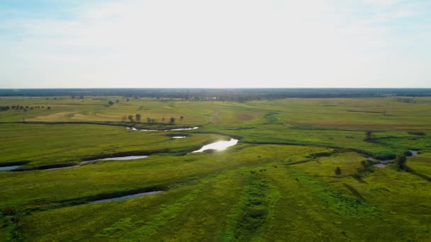 Flygfoto över ett vackert landskap: grönt fält flod sol träd natur — Stockvideo