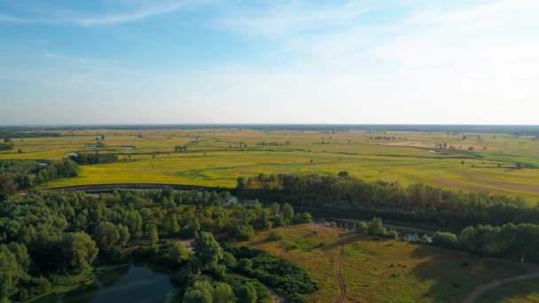 Vista aérea de un hermoso paisaje: árboles de campo de río bosque naturaleza — Vídeos de Stock