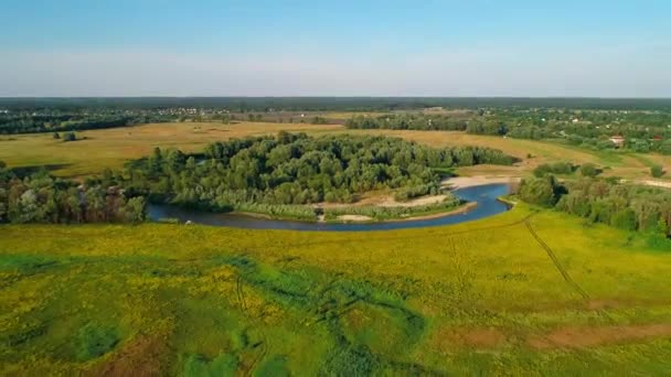 Bumerang dronów. Widok z powietrza ludzie mężczyźni, dziewczyny stoją na plaży machając rękami — Wideo stockowe