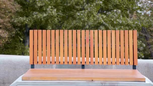 Пустая скамейка из бетона и дерева в парке на открытом воздухе на фоне деревьев — стоковое видео