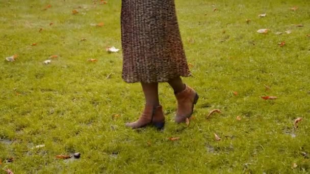 Woman in leopard skirt and brown shoes walks in the park along the grass, spins — Stock Video