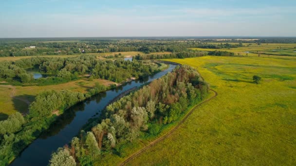 Aerial view of a beautiful landscape: river trees forest field blue sky nature — Stock Video