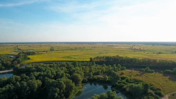 Luftaufnahme einer schönen Landschaft: Bäume Wald Feld Fluss Himmel Natur — Stockvideo