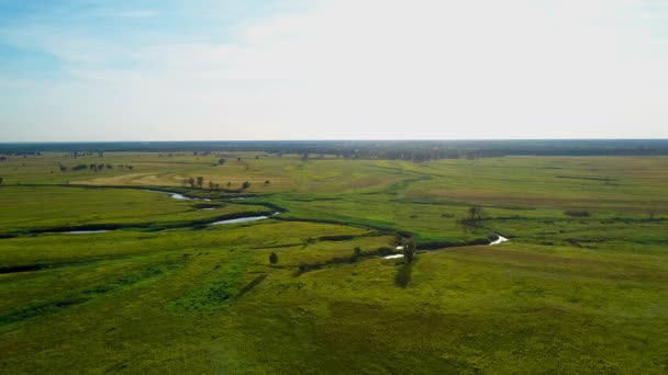 Vista aerea bellissimo paesaggio: campo verde fiume sole alberi cielo blu natura — Video Stock
